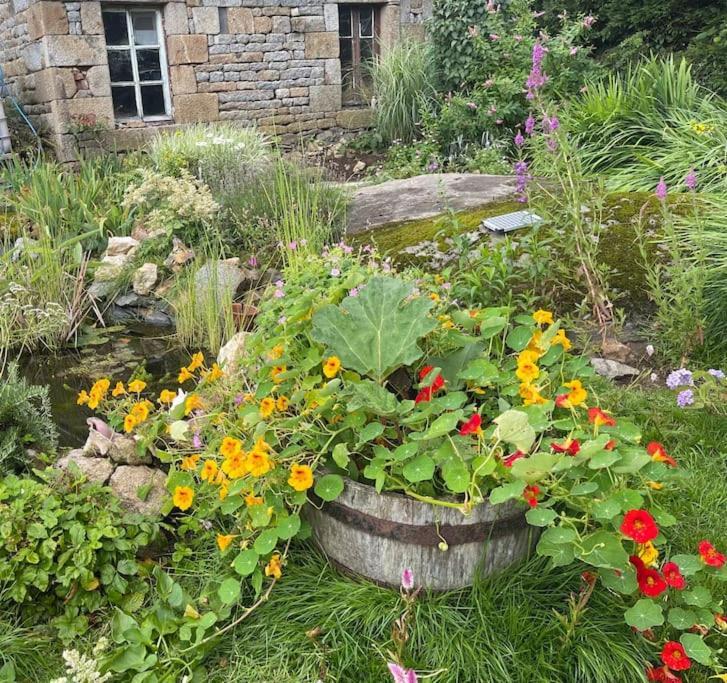 Saint-Michel-de-Montjoie Le Petit Fleur - The Little Flower, Cosy Cottage מראה חיצוני תמונה