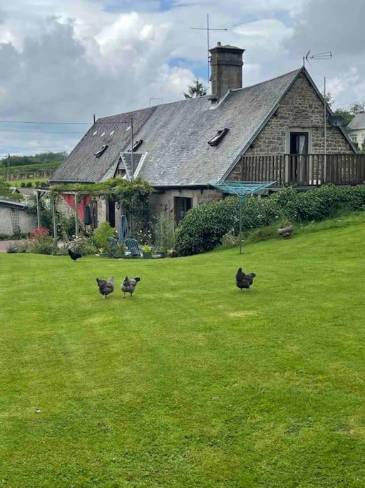 Saint-Michel-de-Montjoie Le Petit Fleur - The Little Flower, Cosy Cottage מראה חיצוני תמונה